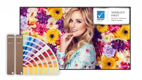 BenQ расширяет модельный ряд панелей Pantone Validated